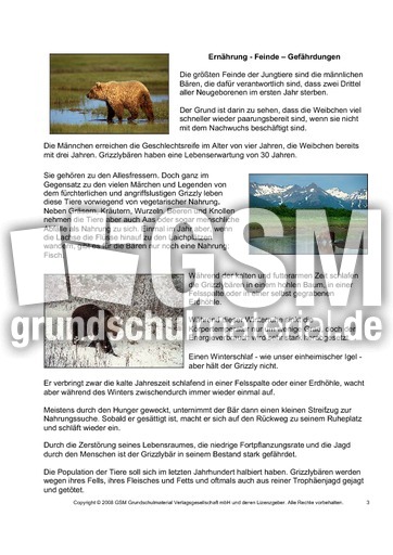 Grizzly-Steckbrief-Seite-3.pdf